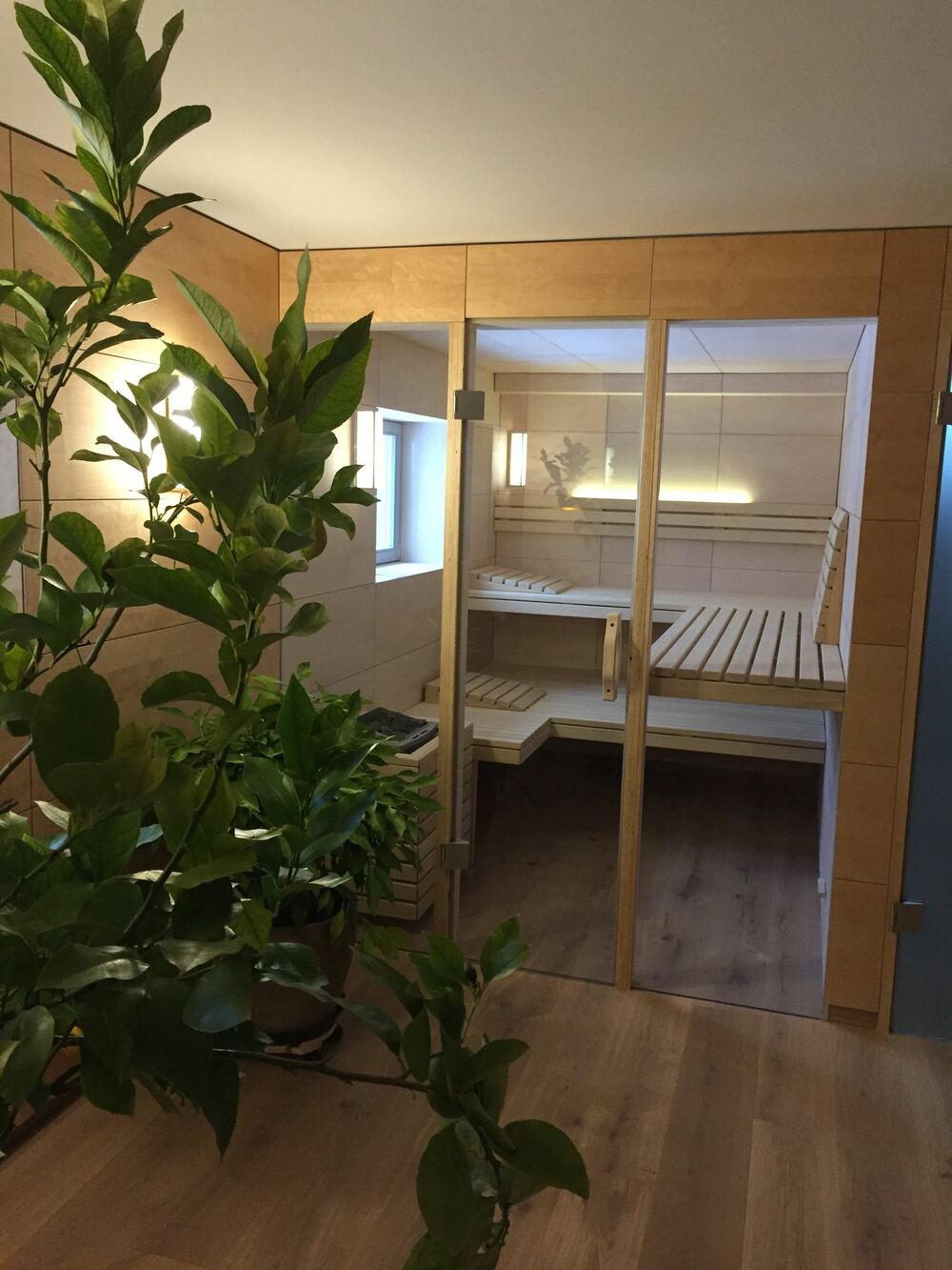 Sauna und Spa
